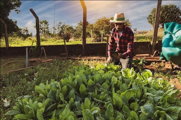 Escapada a Finca familiar